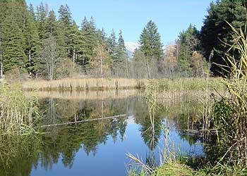 Wandern in Tirol