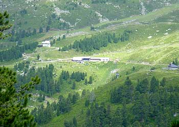 Tulfeinalm am Glungezer in Tirol